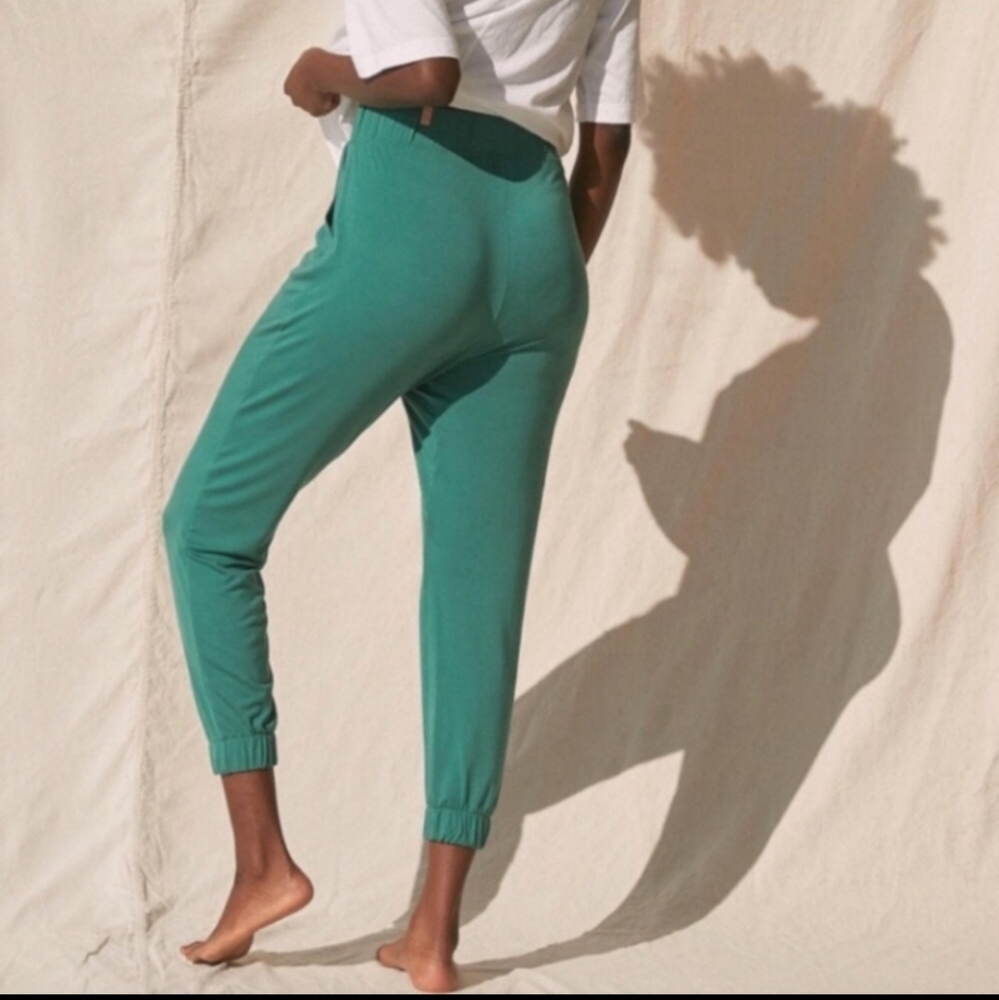 Nwot Lunya Soft Modal Draped Joggers View 5